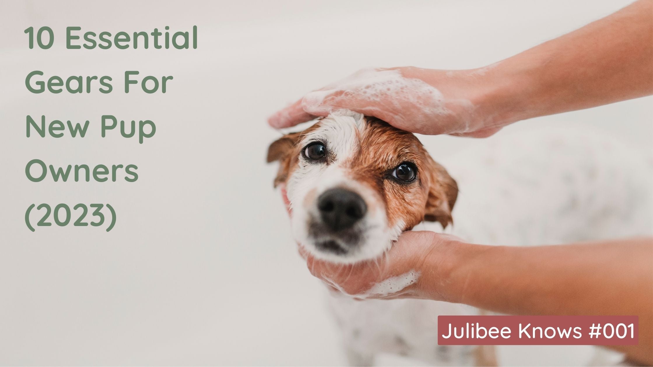 New pup owner must-haves: Puppy being bathed with soap suds | Julibee's 2023 guide