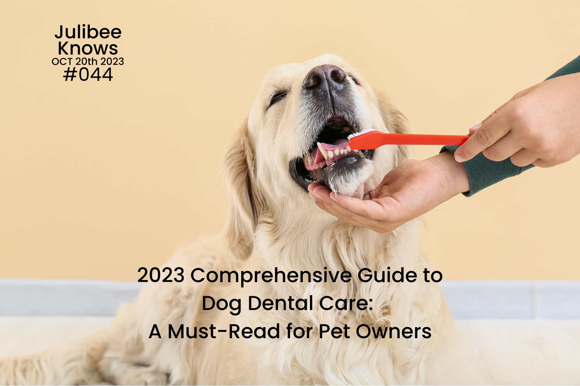 Golden retriever getting teeth brushed - comprehensive dog dental care guide