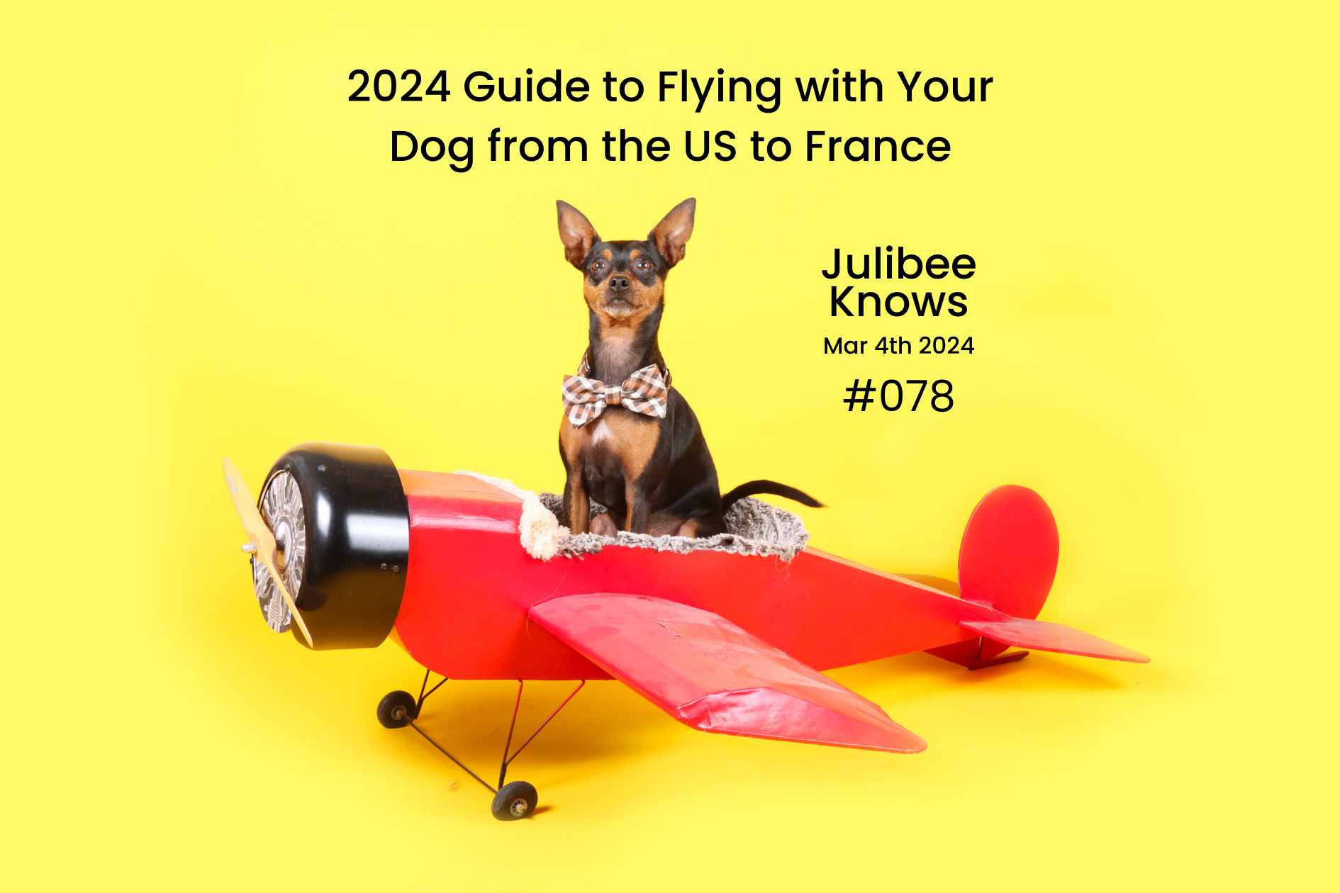 Dog in red toy airplane for 2024 guide to flying pets from US to France by Julibee's pet travel supplies