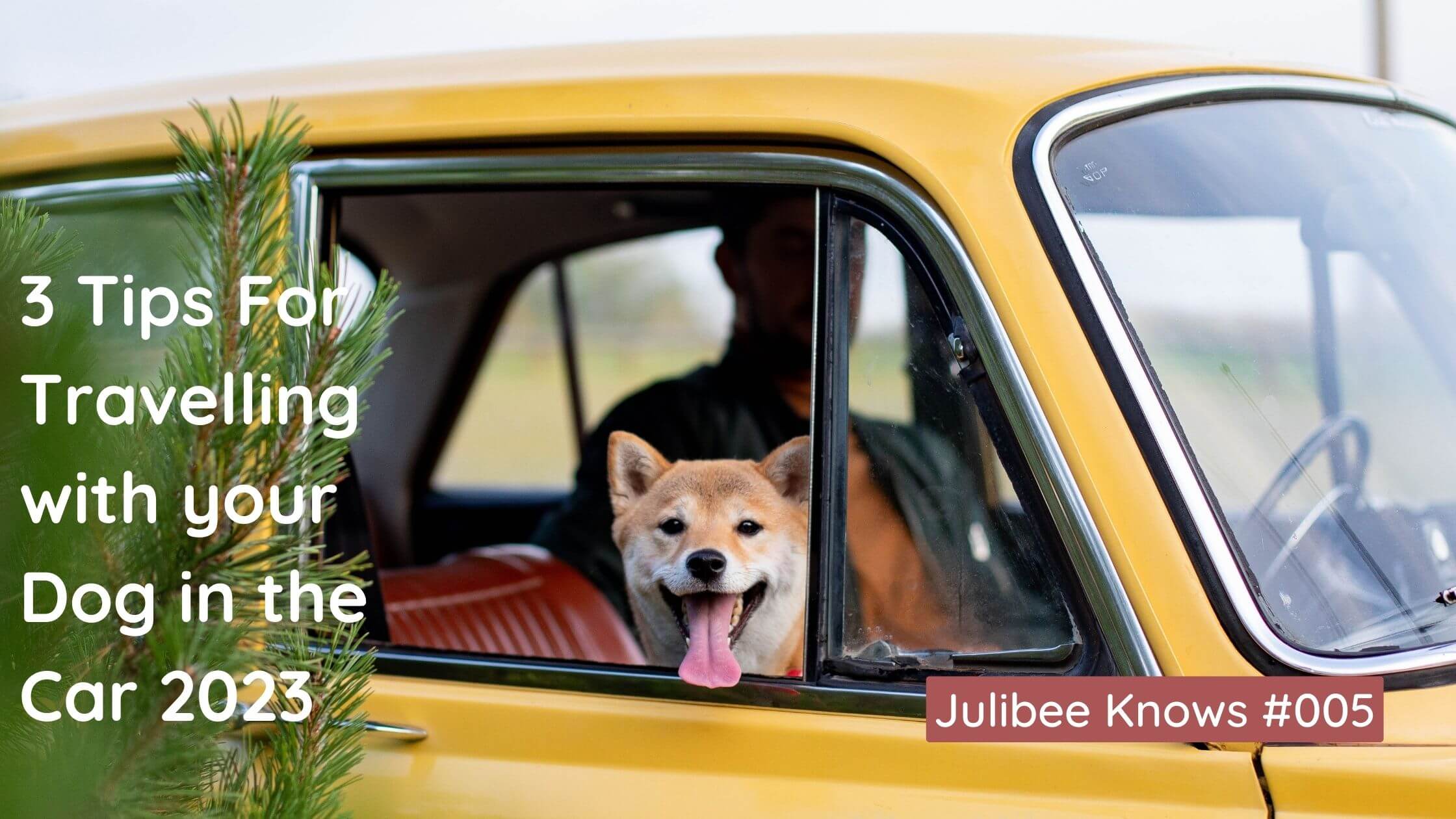 Happy dog enjoying car ride with head out window - Julibee's pet travel tips 2023