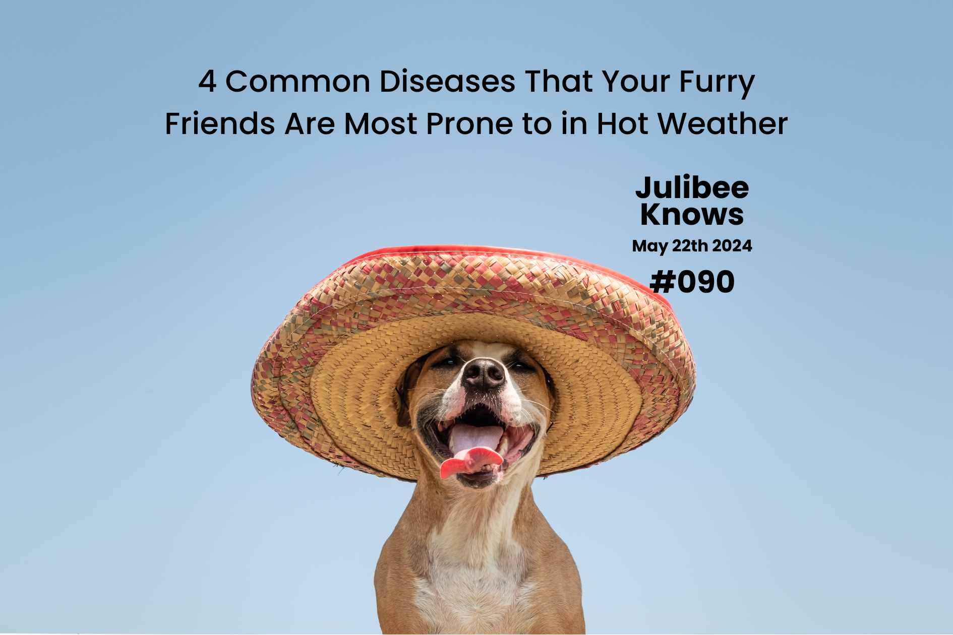 Happy dog wearing straw hat in hot weather - Julibee's guide to summer pet disease prevention.