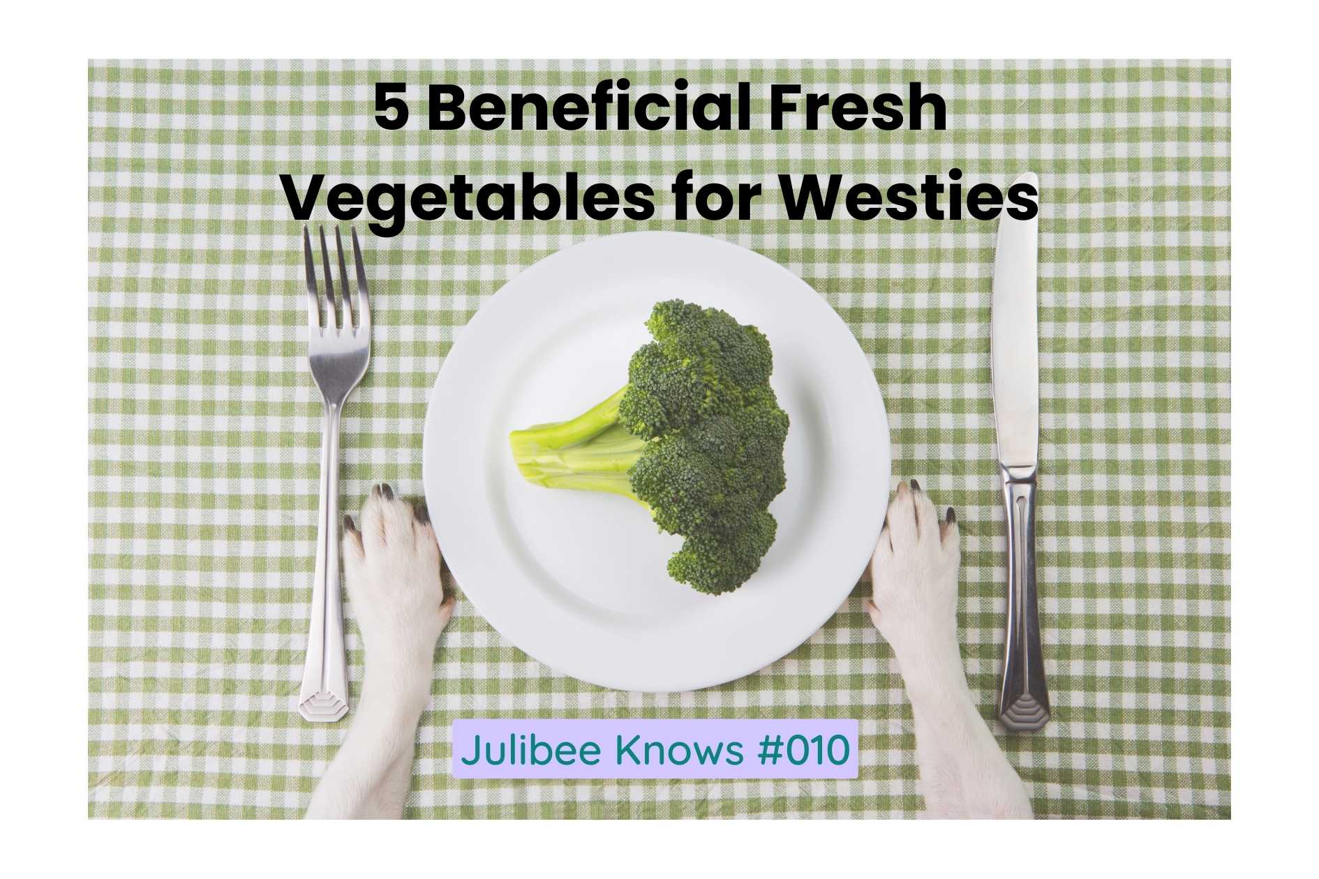 Westie paws beside plate of fresh broccoli - beneficial vegetable for dog health