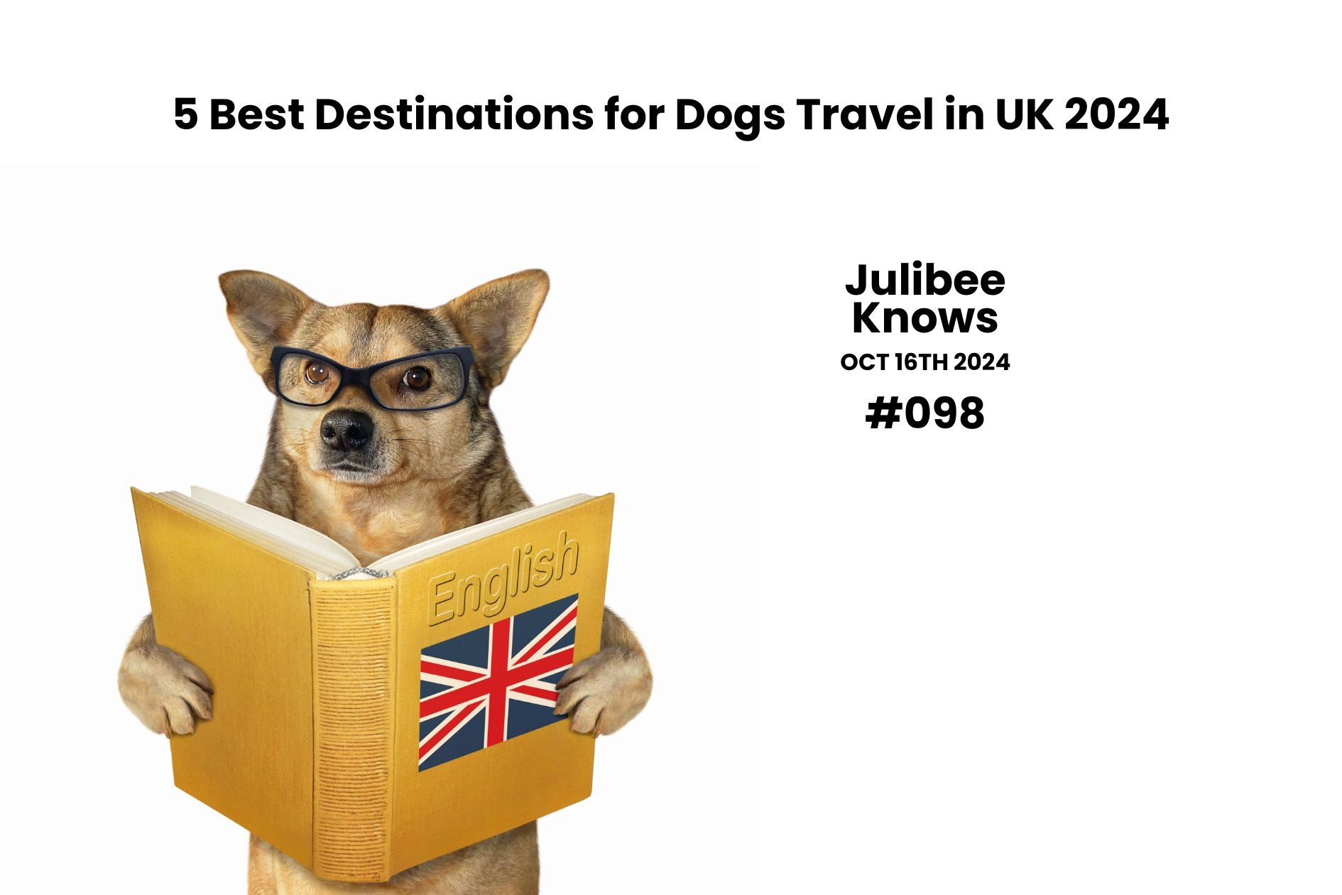 5 Best Destinations for Dogs Travel in UK 2024