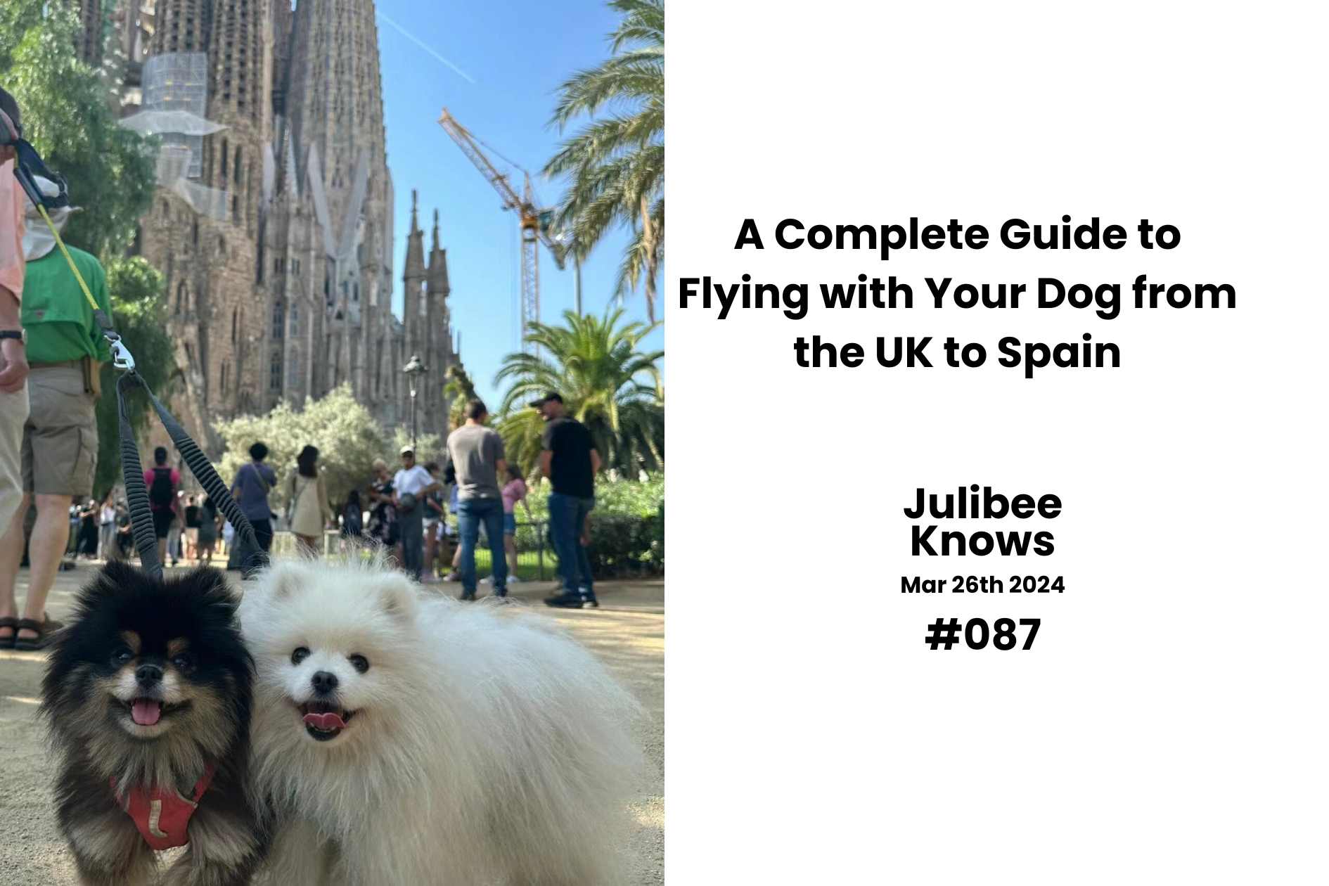 Two cheerful dogs in front of Barcelona's Sagrada Familia - complete guide to flying pets from UK to Spain by Julibee's