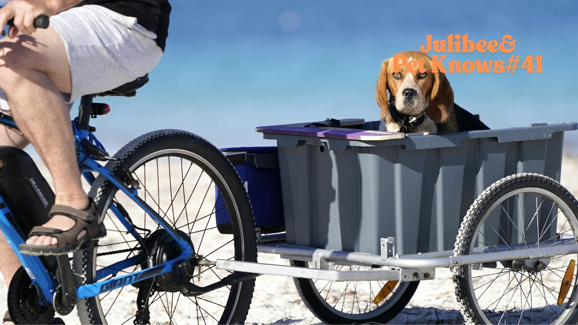 Dog comfort pad for long-haul travel β cozy blanket for safe bike and car journeys.