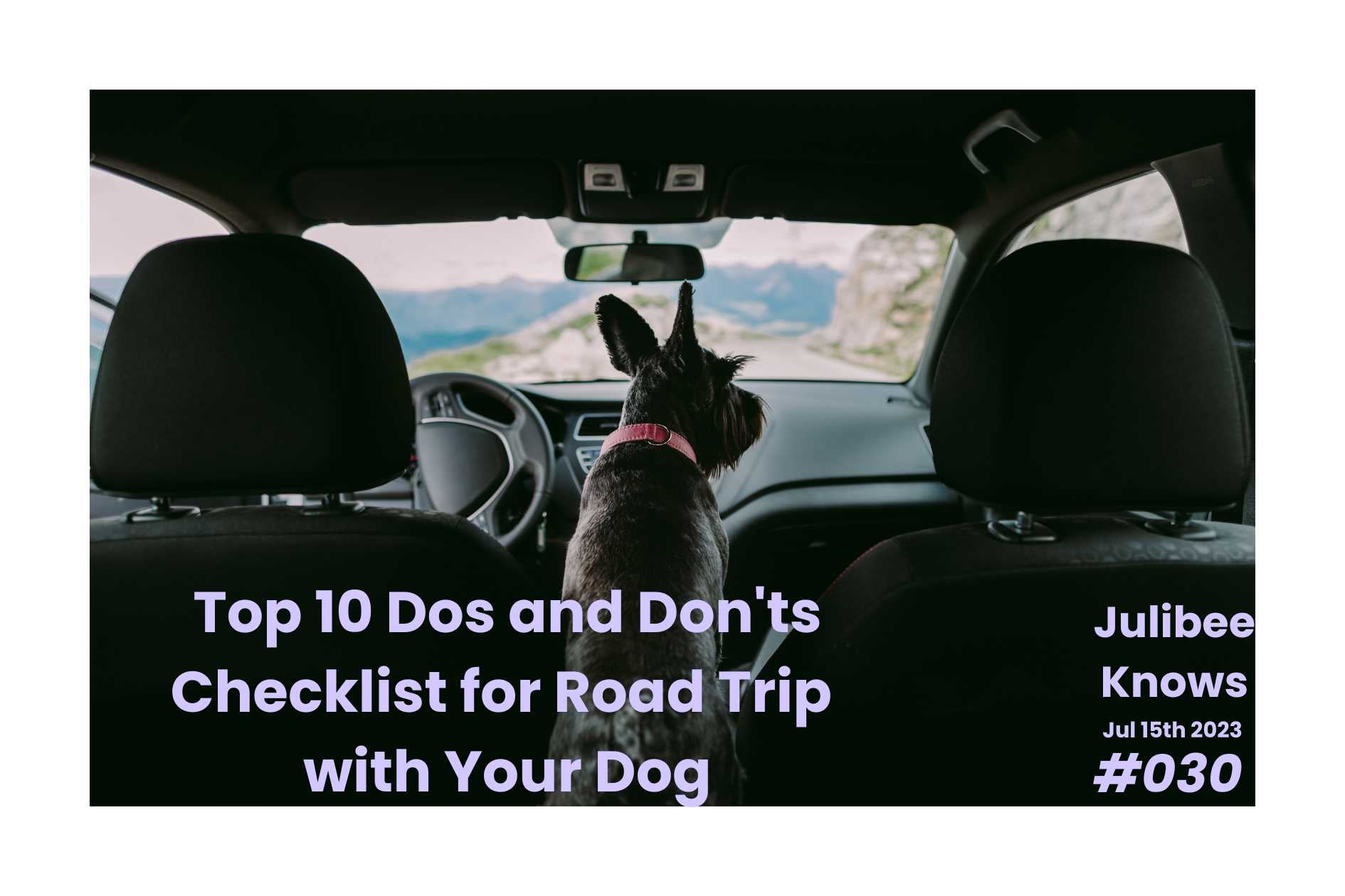 Dog in car looking out window during road trip - Top 10 dos and don'ts checklist for safe pet travel by Julibee's