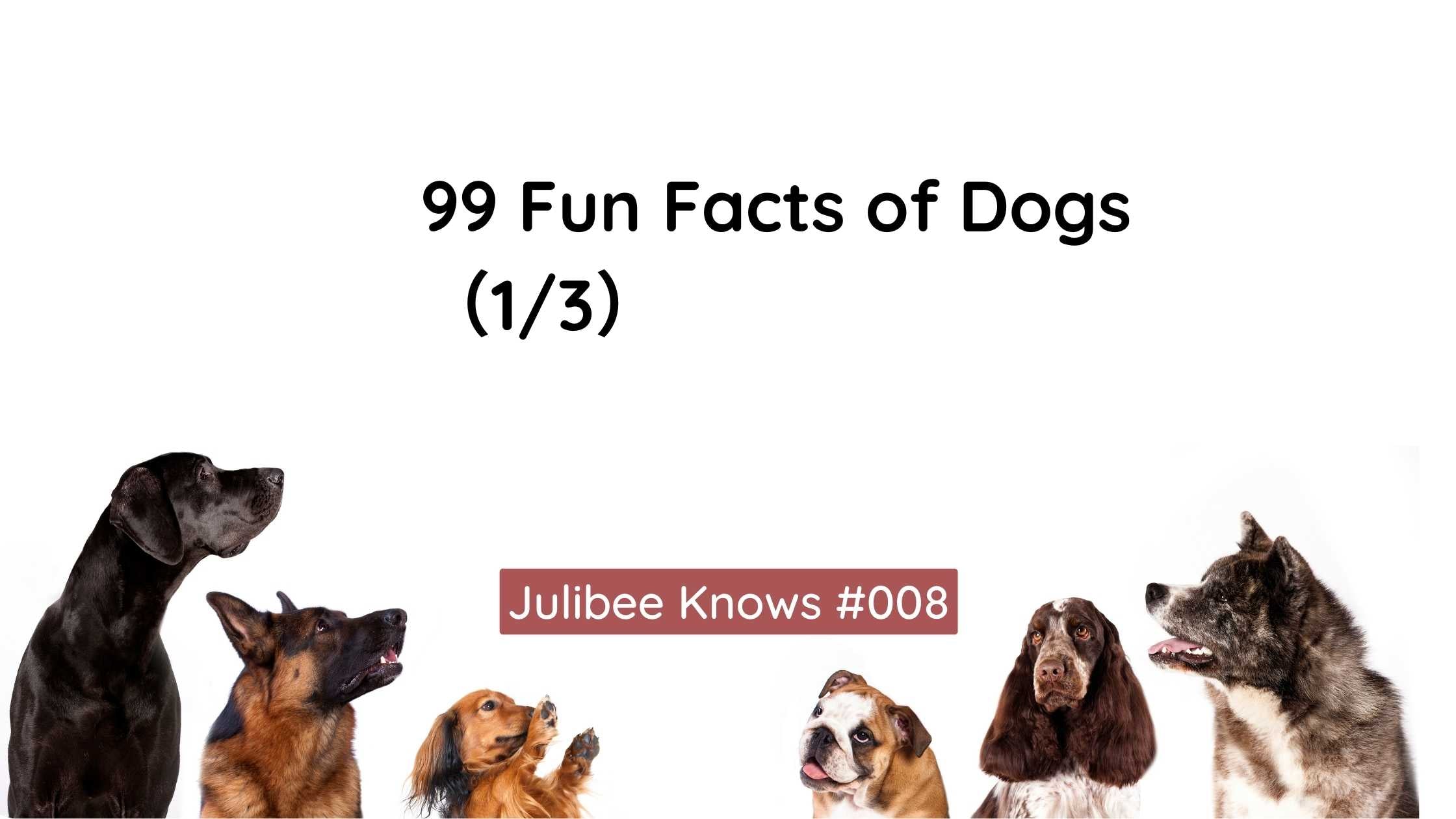 Diverse dog breeds featured in '99 Fun Facts of Dogs (1/3)' article by Julibee's