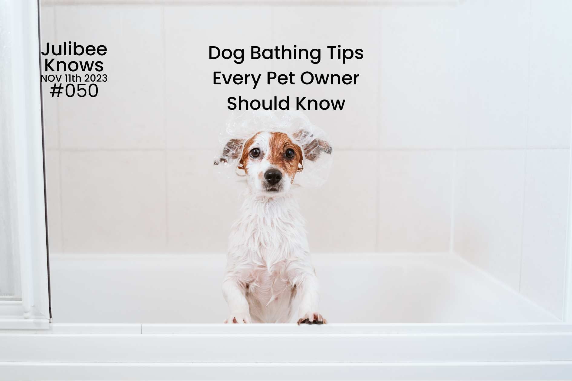 Small dog in bathtub wearing a shower cap, illustrating dog bathing tips for pet owners.