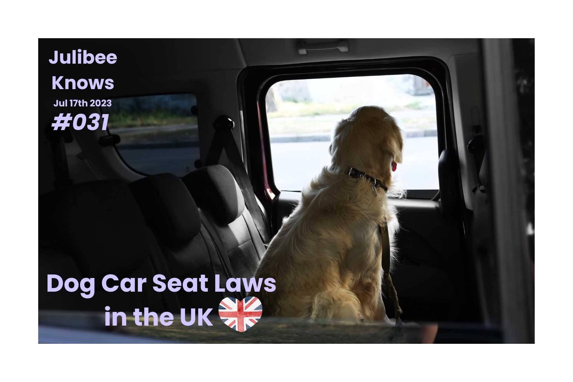 Golden retriever in dog car seat looking out car window - UK dog car seat laws