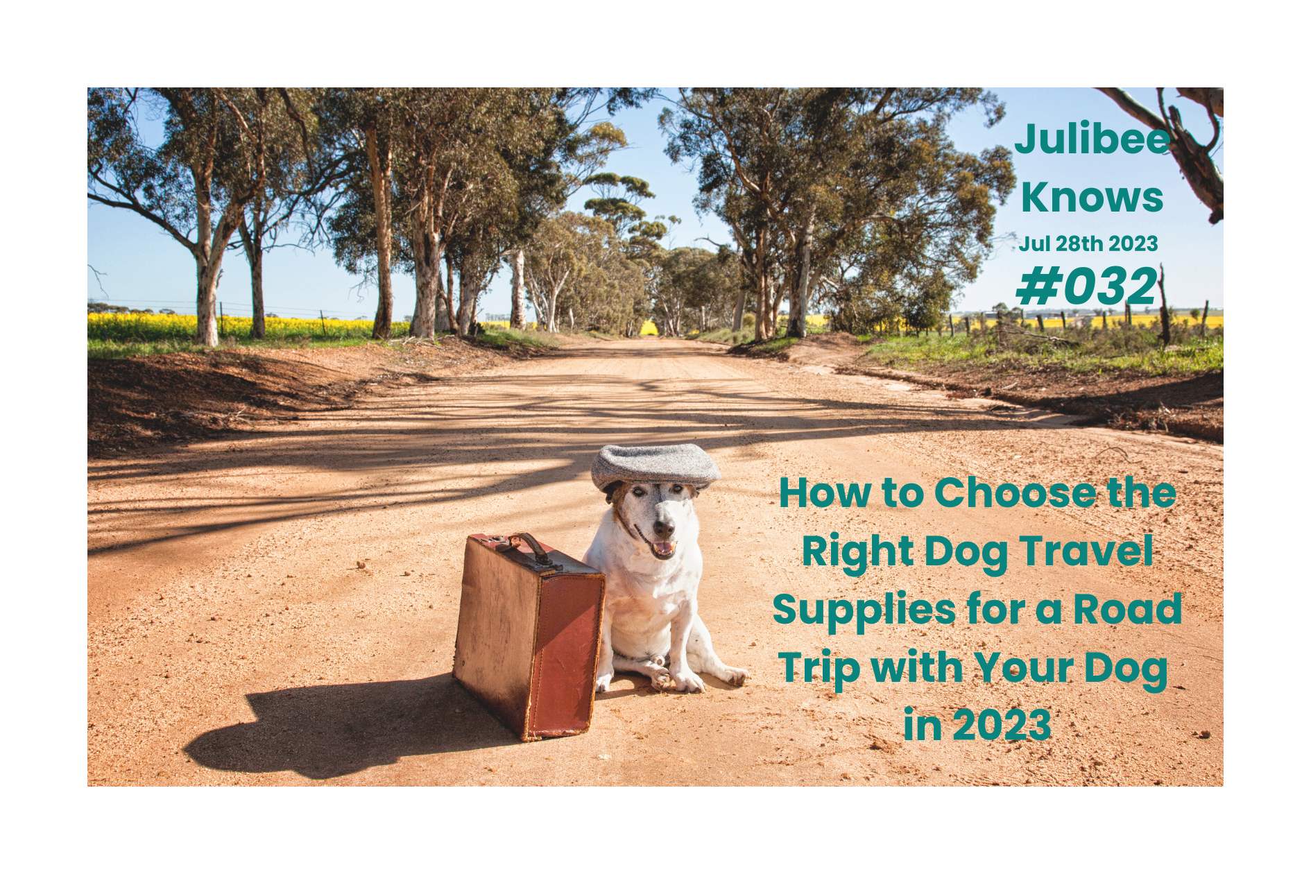 Dog with suitcase on rural road - tips for choosing pet travel supplies for road trips