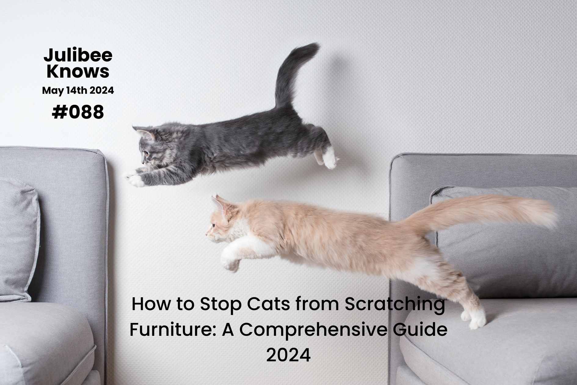Two cats leaping near furniture - Julibee's guide to stop cat scratching