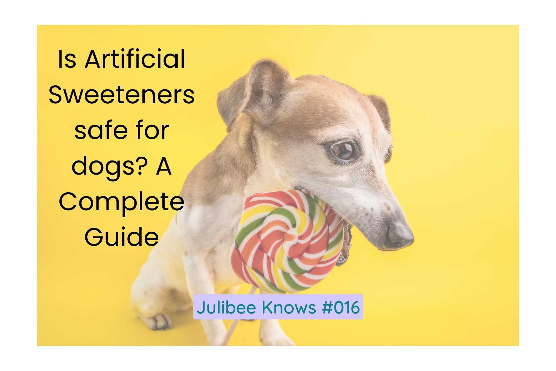 Dog holding rainbow lollipop - Is Artificial Sweeteners Safe for Dogs? Complete Guide