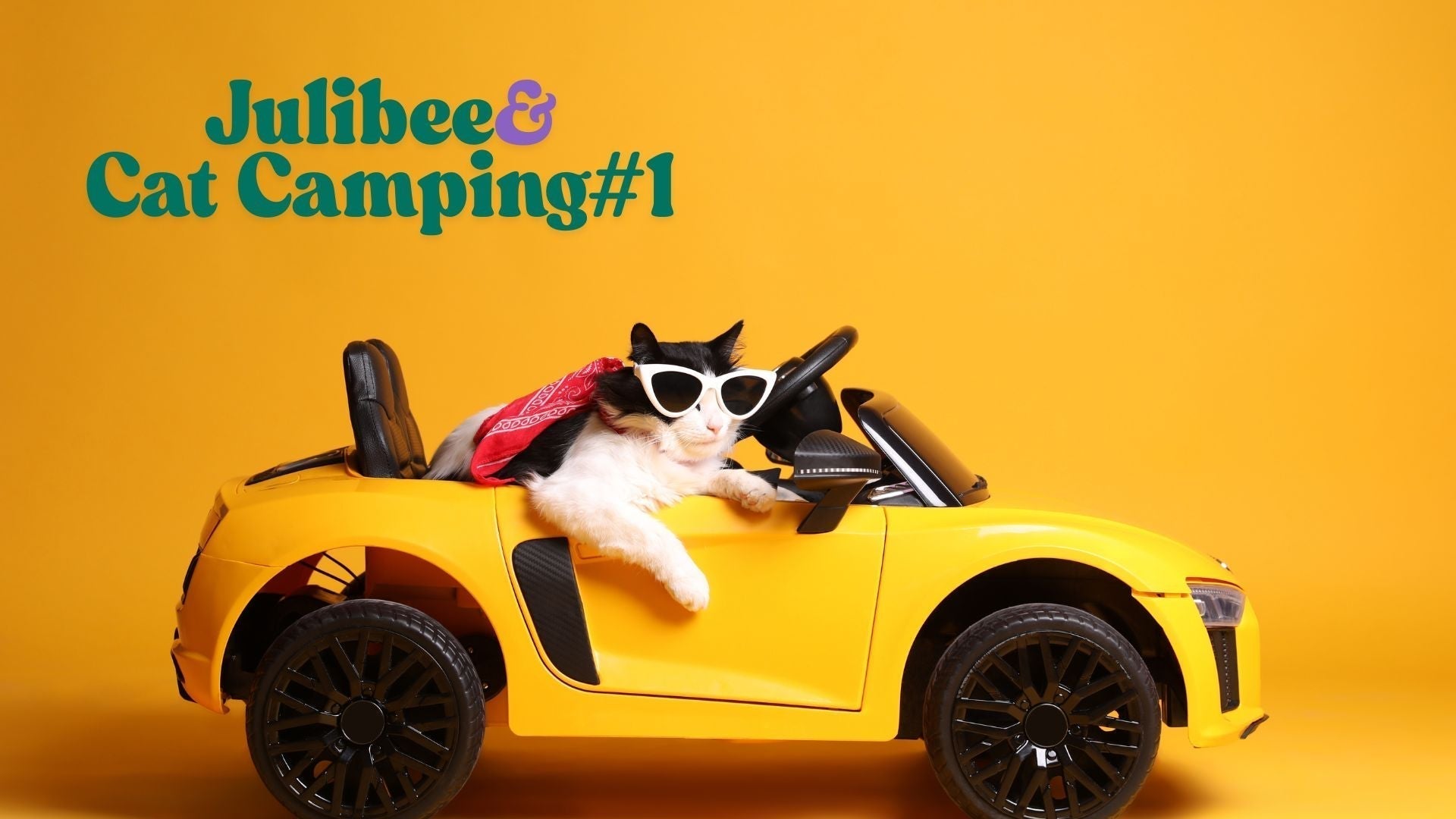 Cat relaxing in yellow toy car during camping trip, Julibee's pet carrier ensures safe travels.