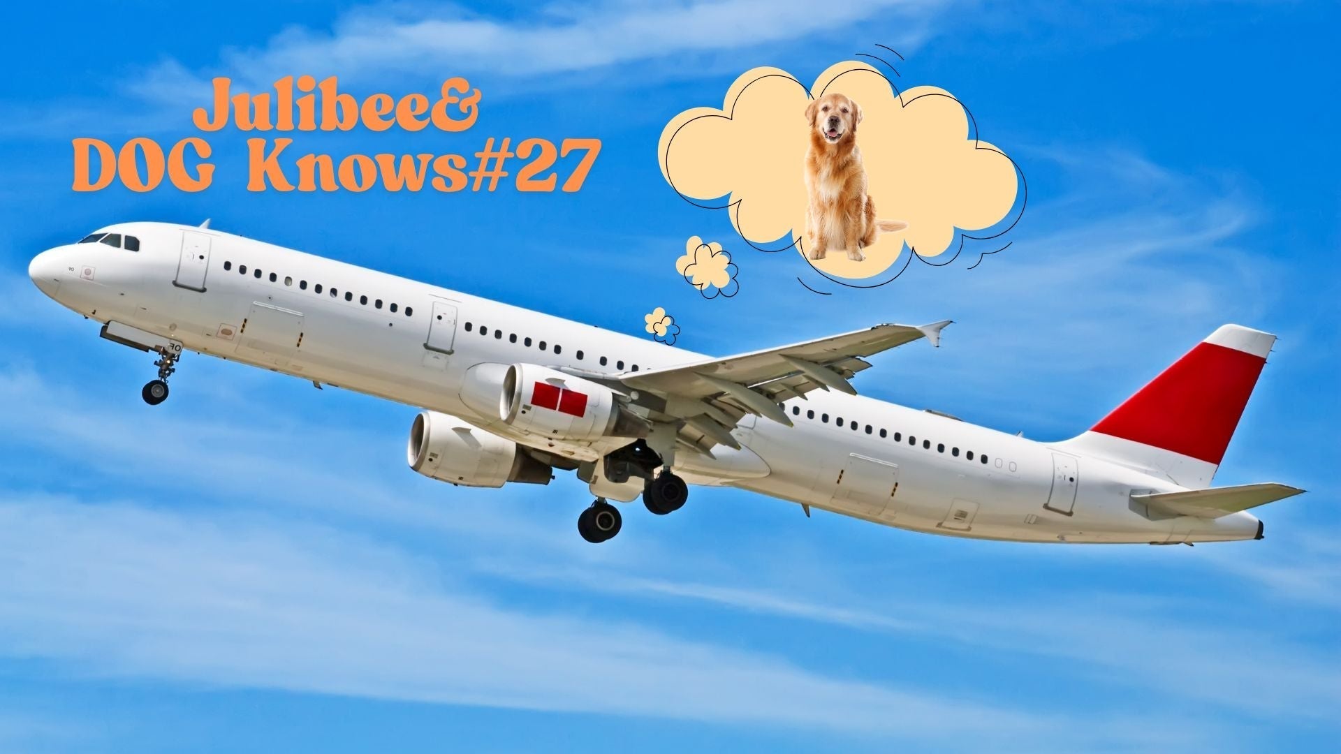 Airplane in flight with thought bubble of golden retriever, Julibee's pet air travel guide.