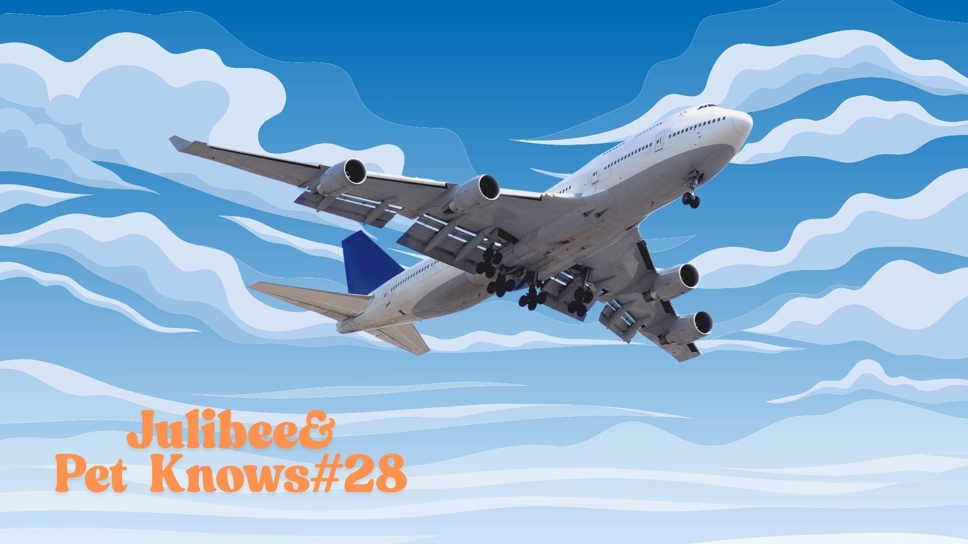 Large airplane soaring through clouds, Julibee's resources for international pet travel.