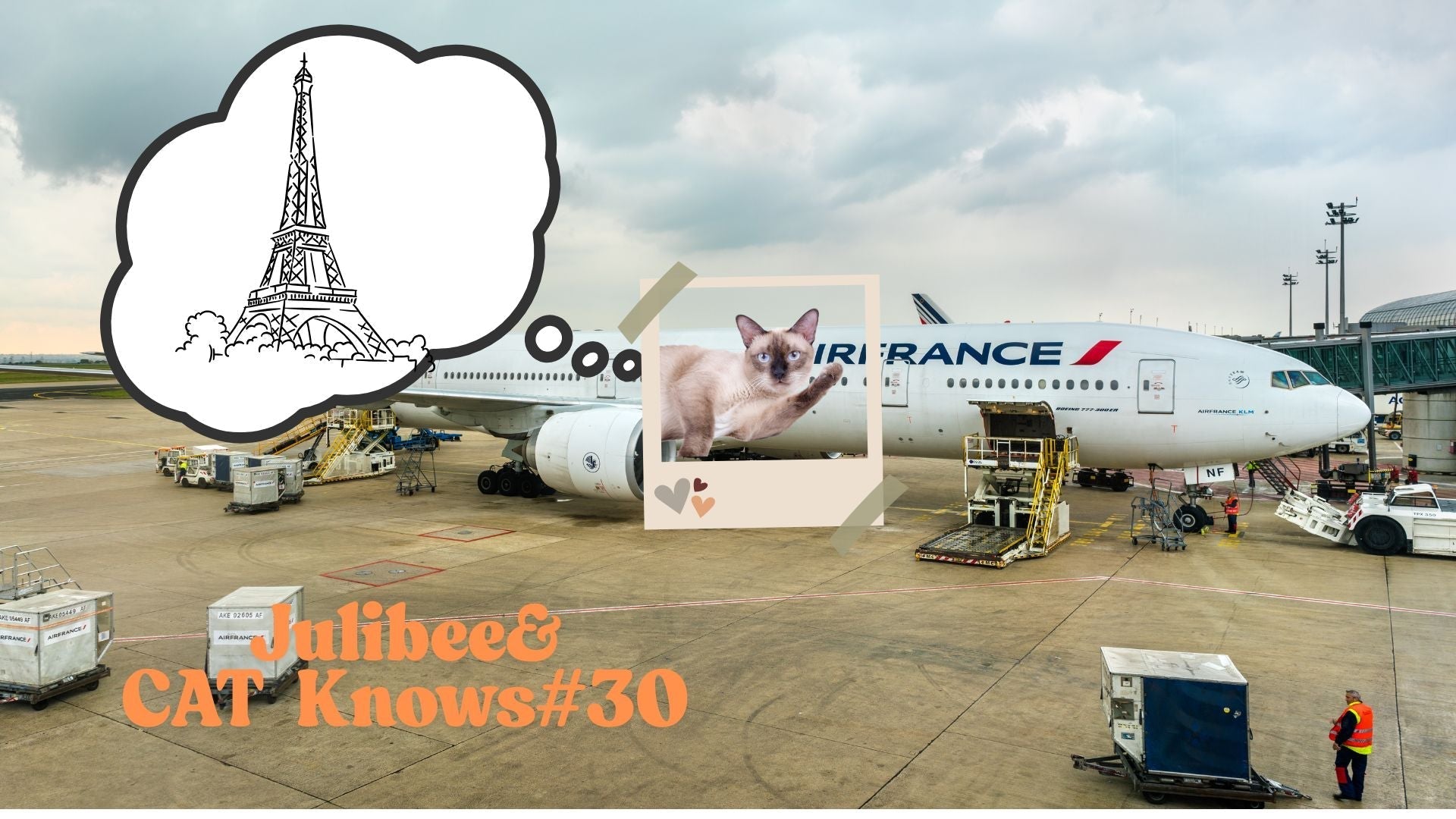 Cat air travel to France with Air France airline and Eiffel Tower - Julibee's pet travel advice
