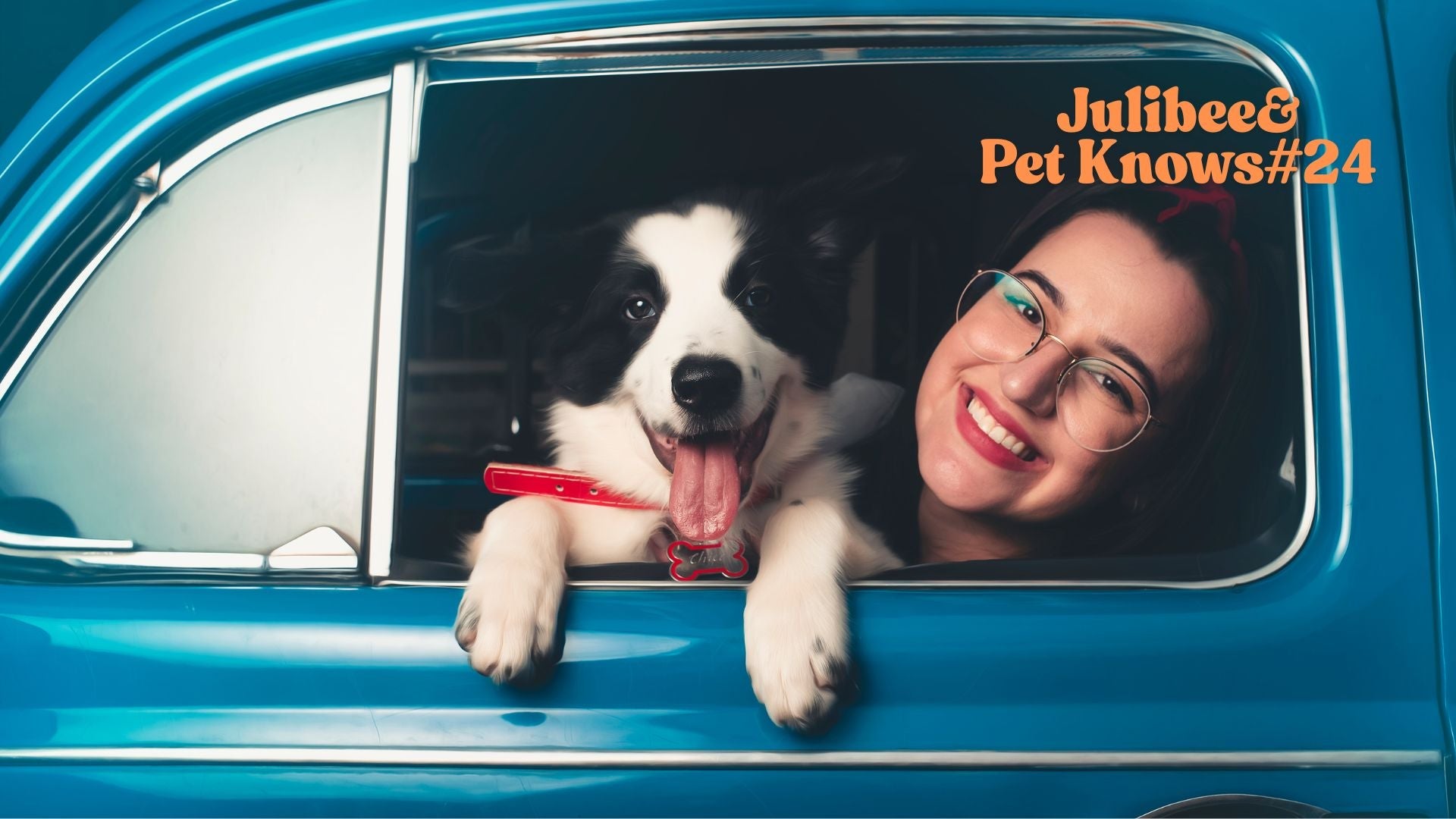 Dog enjoying car ride, capturing memories in ultimate pet travel journal
