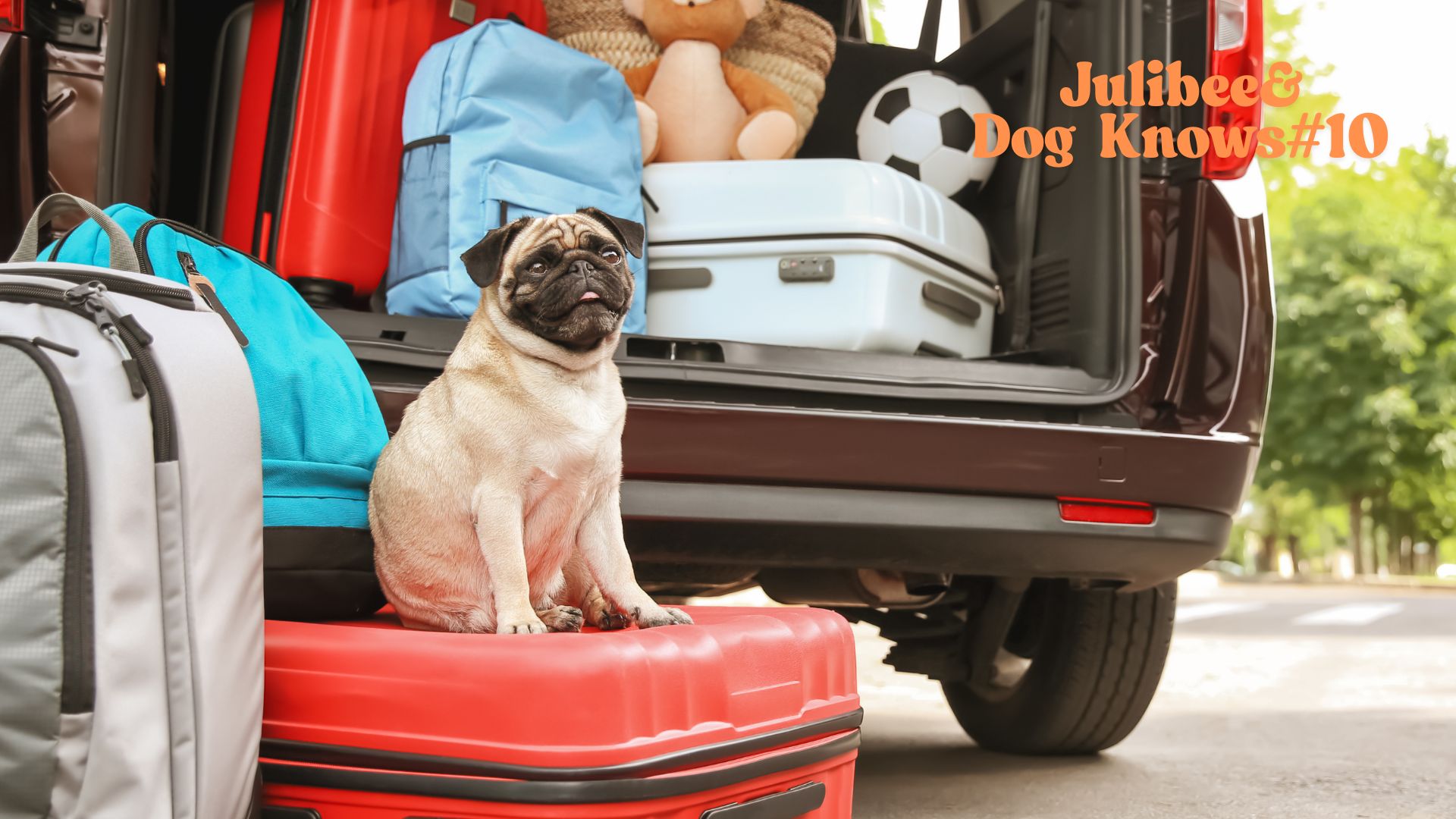 Pug dog sitting on red suitcase near packed car trunk for pet-friendly hotel stays
