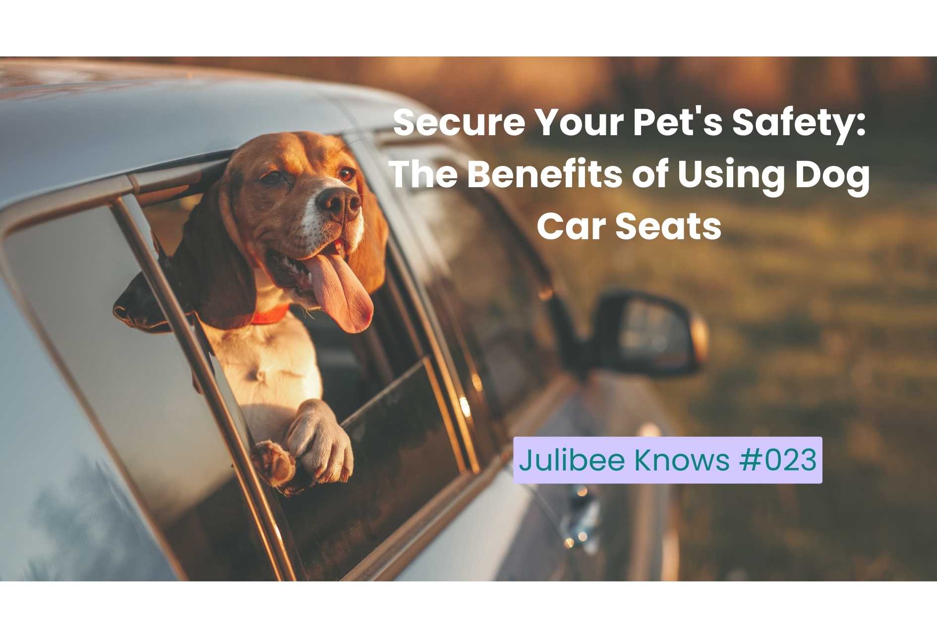 Happy dog with head out car window, highlighting dog car seats for pet safety during travel