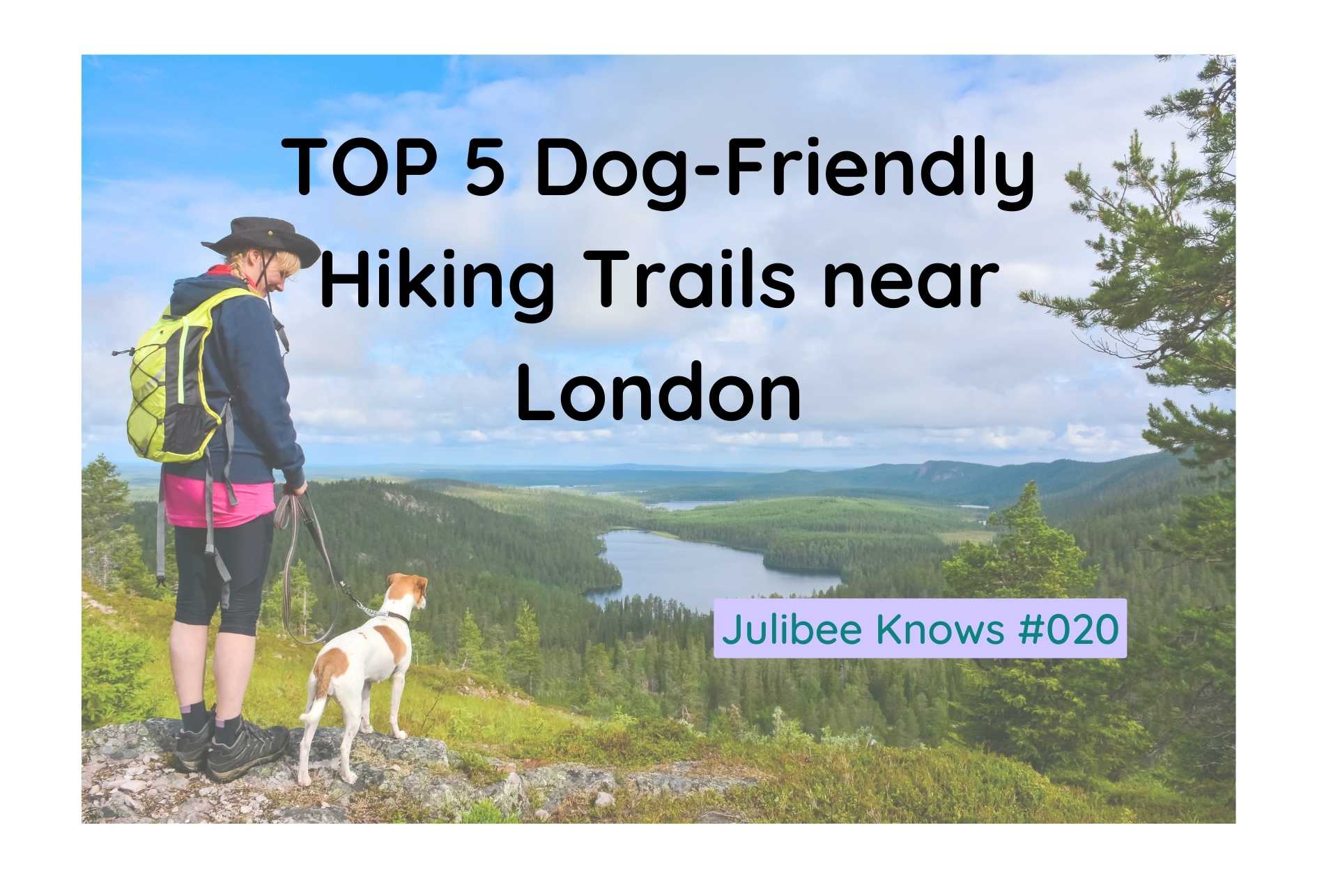 Couple with dog enjoying scenic view at dog-friendly hiking trail near London - Julibee Knows #020
