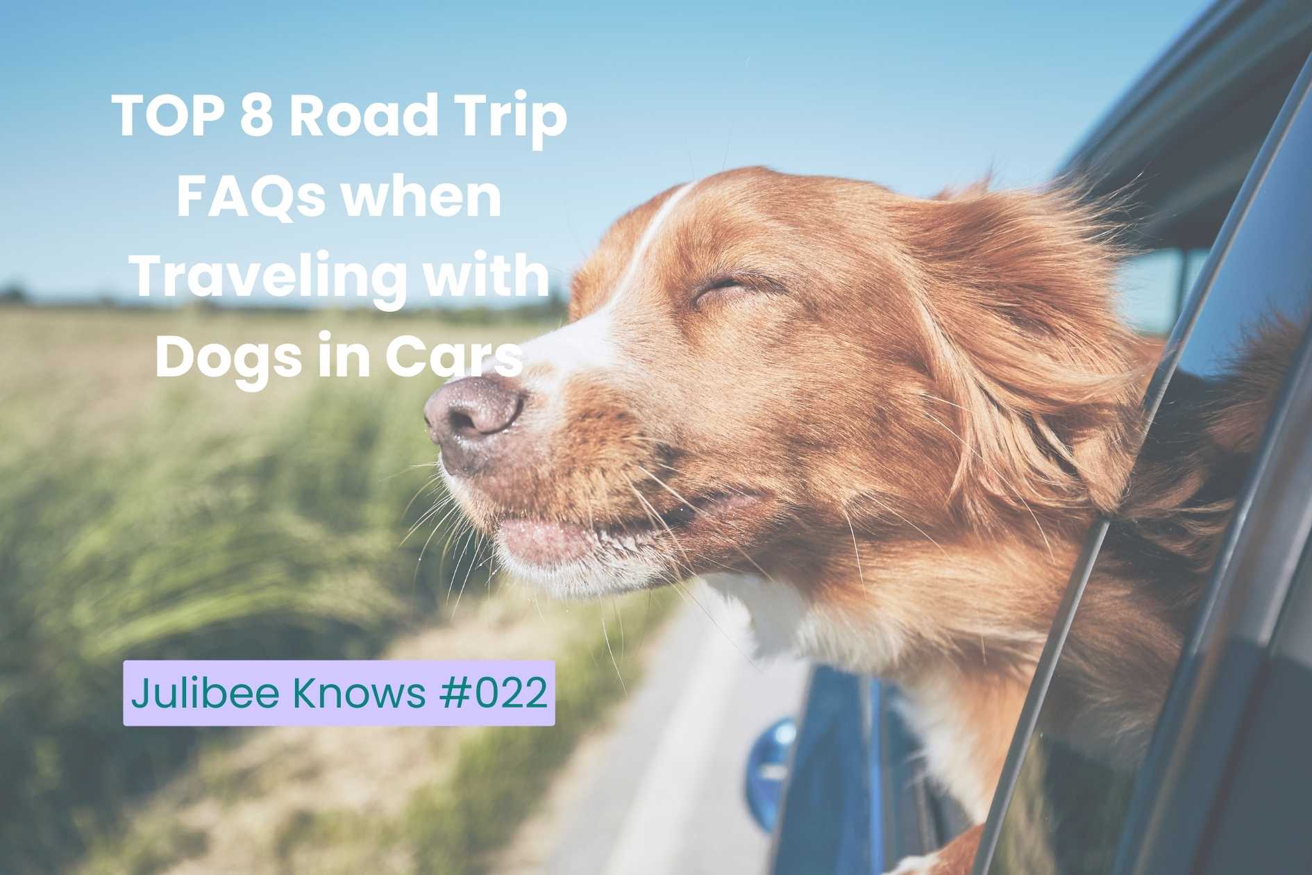 Happy brown dog enjoying car ride during road trip - Top 8 FAQs for traveling with dogs in cars by Julibee's