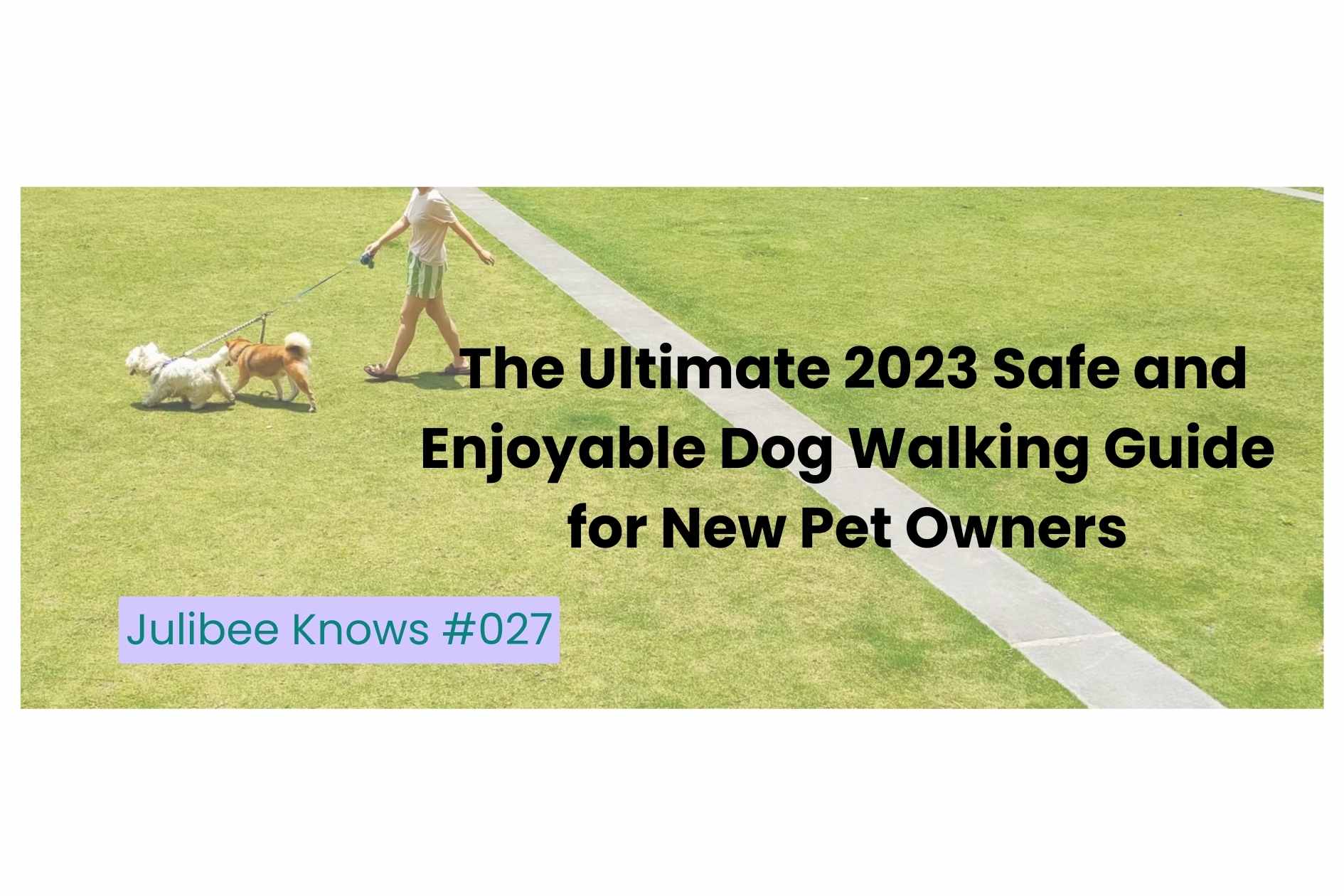 Two dogs being walked on leashes by owner in park - 2023 safe enjoyable dog walking guide for new pet owners | Julibee's