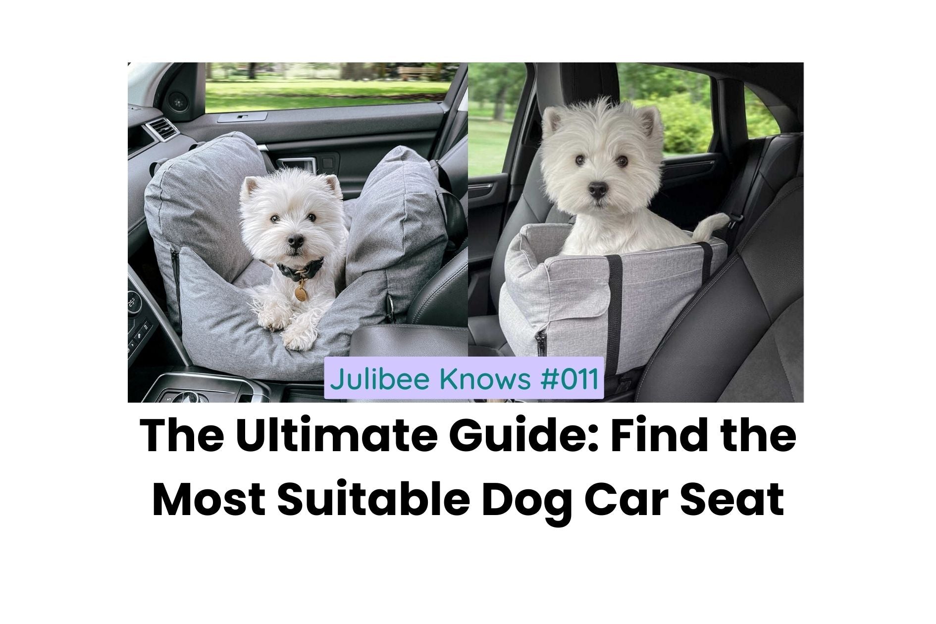 Two white dogs in comfortable gray dog car seats - Julibee's pet travel safety guide