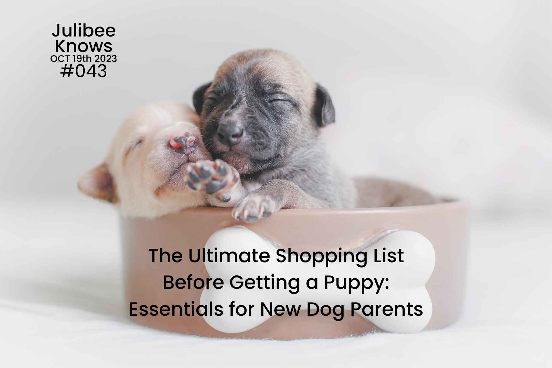 Two puppies sleeping in bone bowl - ultimate shopping list for new puppy parents