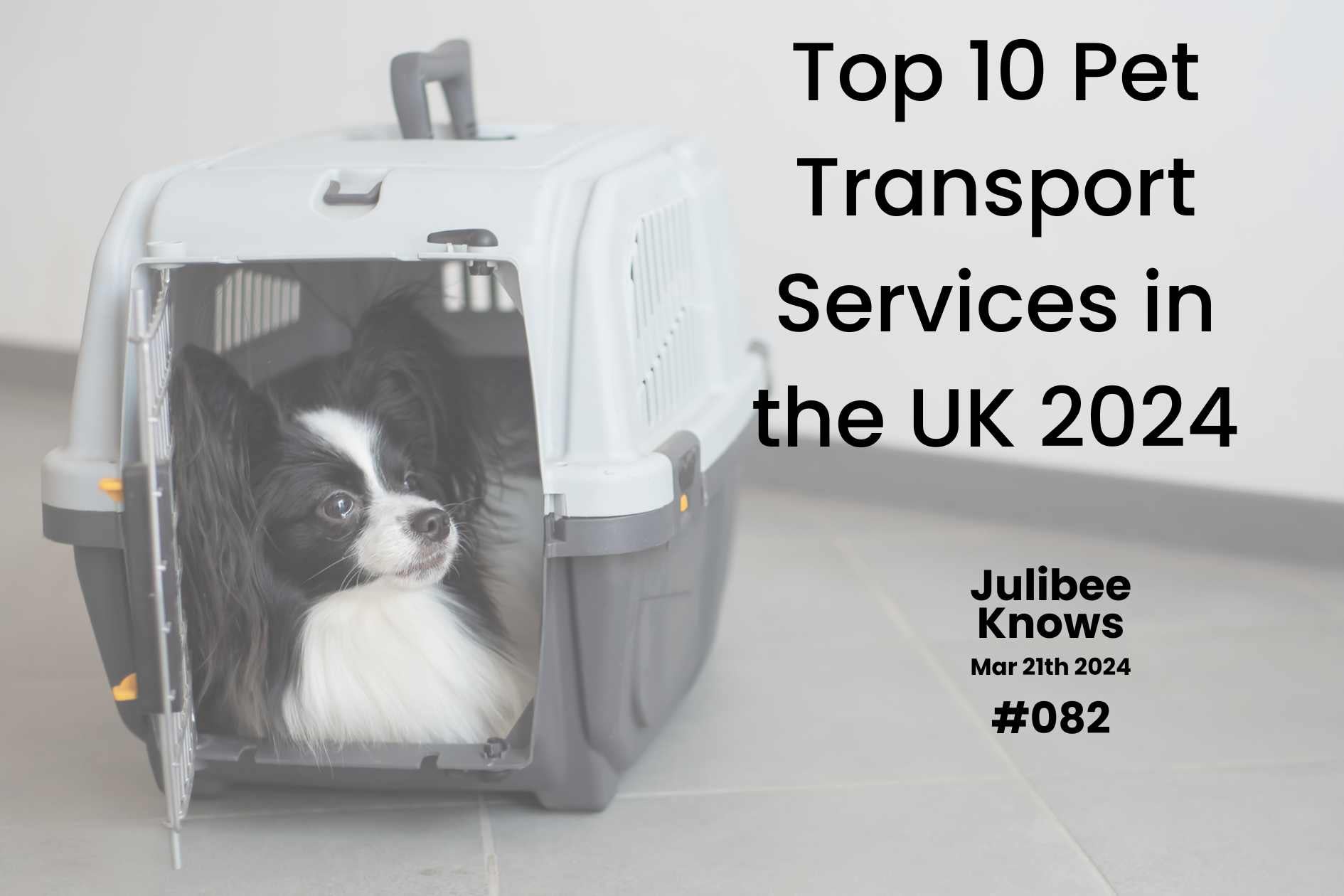 Small dog in portable pet carrier featured in Top 10 Pet Transport Services UK 2024 by Julibee's