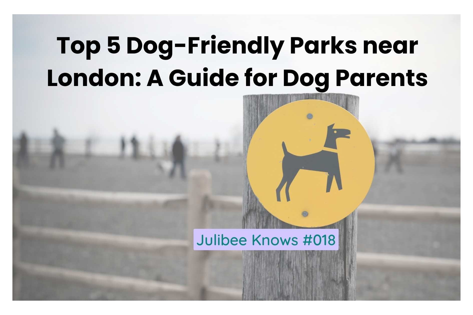 Yellow dog-friendly park sign near London - Top 5 Dog-Friendly Parks guide for dog parents