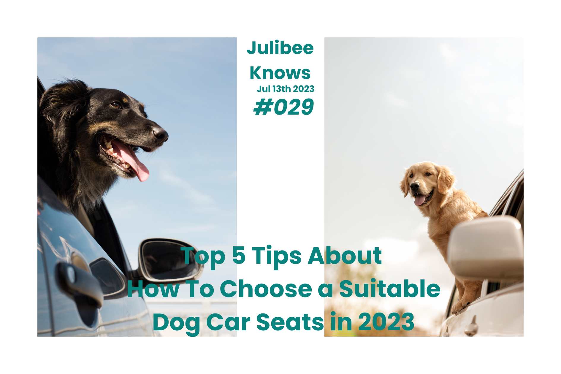 Two happy dogs enjoying car ridesātop 5 tips for choosing safe dog car seats by Julibee's