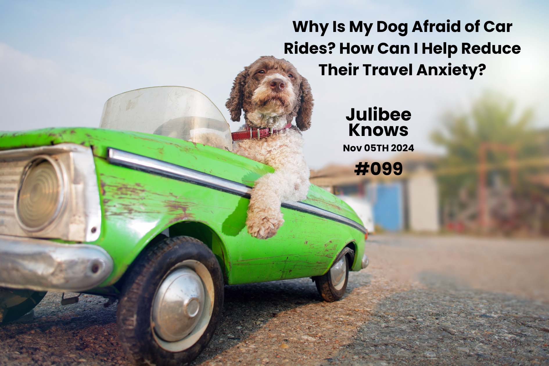 Julibee's brown and white dog in green car with paw out, article on reducing dog car ride anxiety and pet travel safety so...