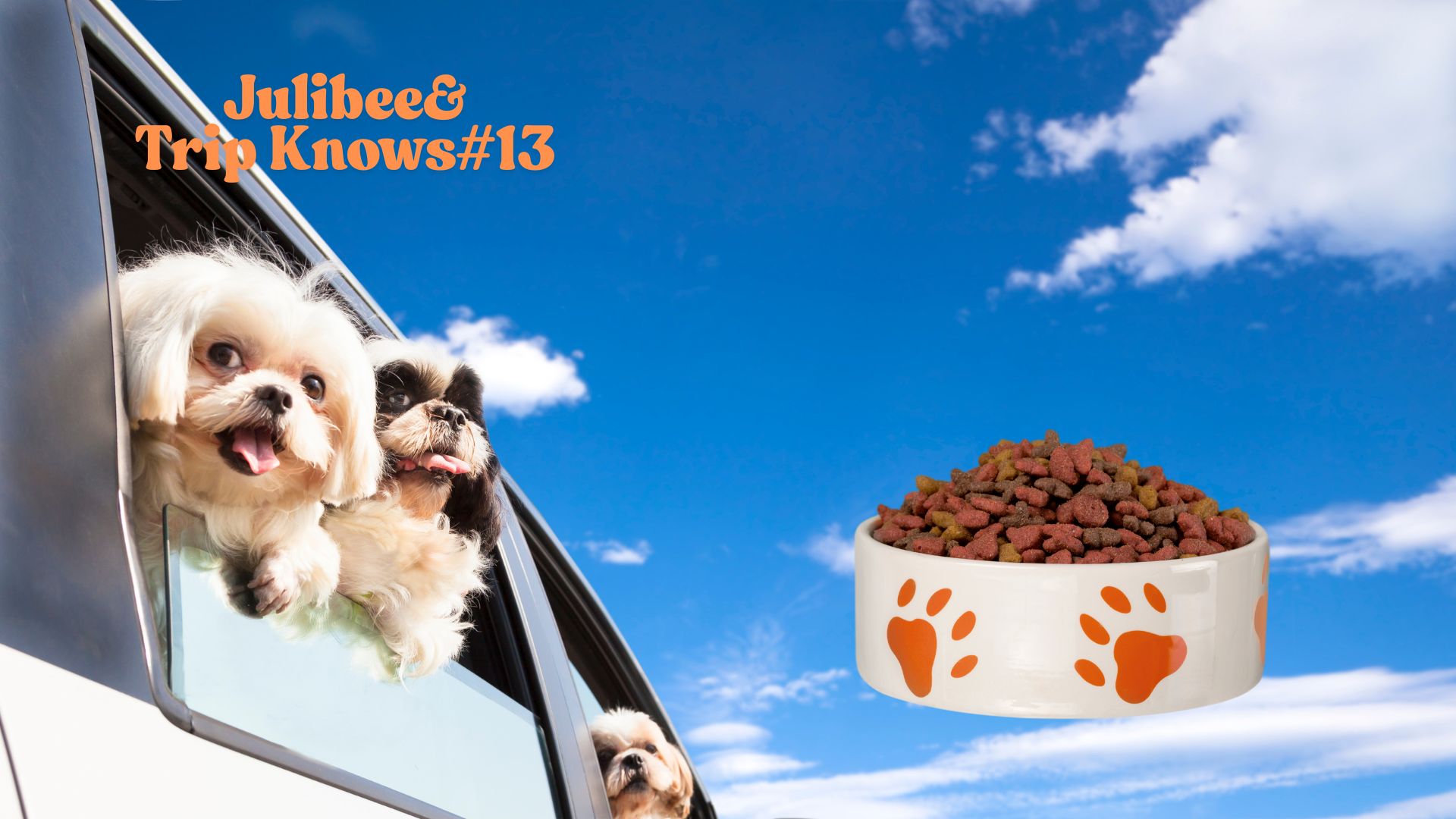 Two happy dogs in car window with large paw-print bowl of dog food for healthy travel diet