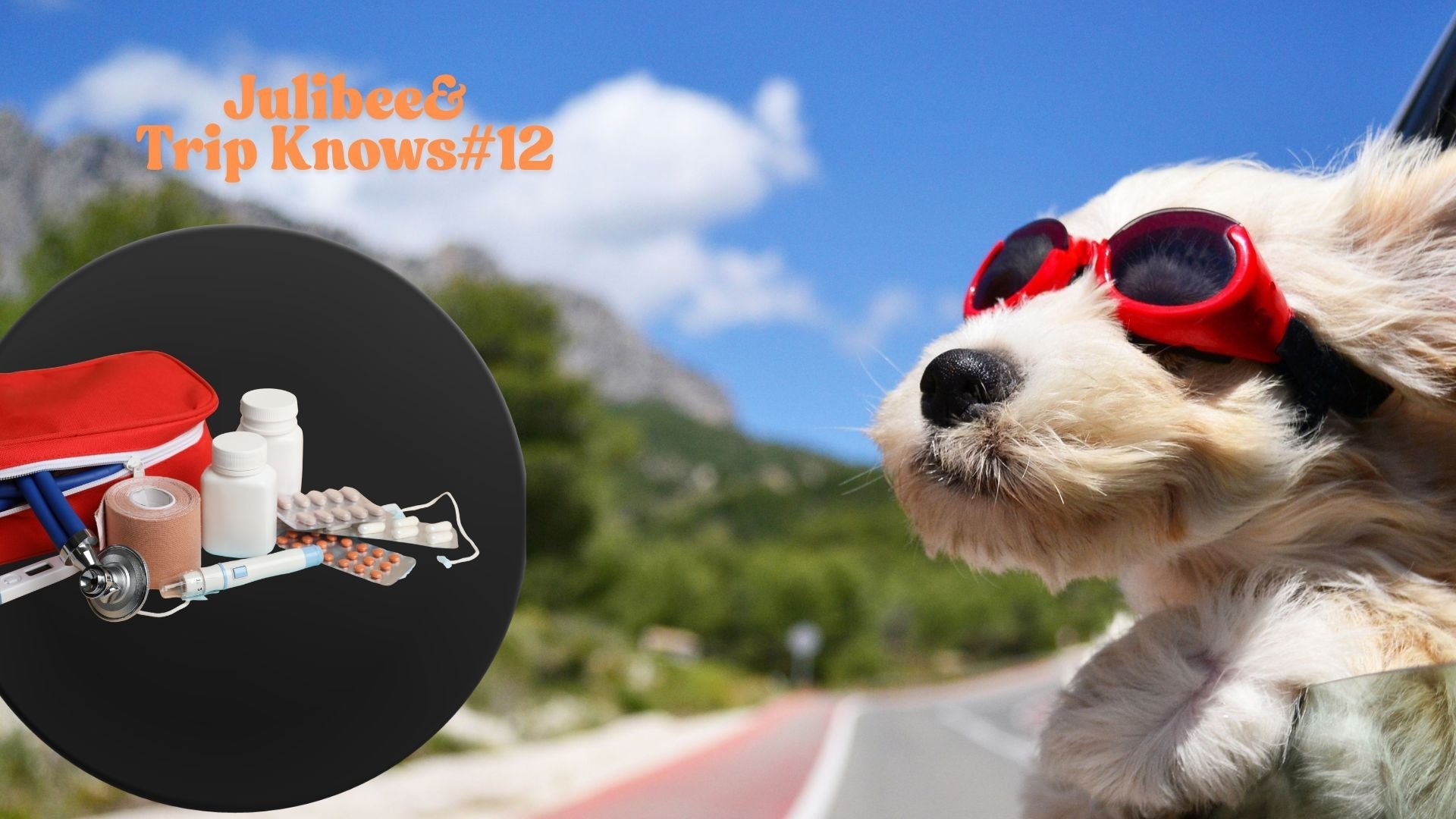 Dog wearing sunglasses looking out car window with essential first-aid supplies for canine travelers