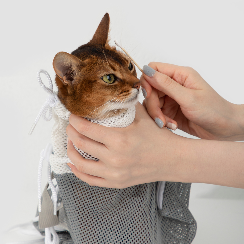 Detachable anti-scratch cat grooming wrap being used for ear cleaning