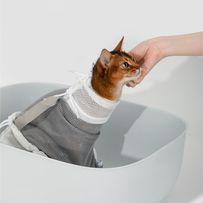 Chat portant une housse de toilettage anti-griffes amovible dans la baignoire