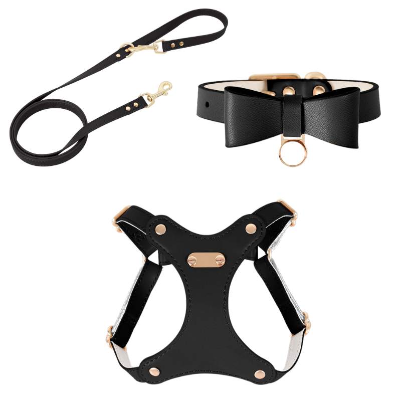 Bowtie Leather Cat Walking Kit (ID Tag included) Black