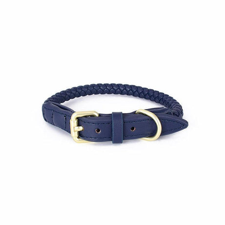 Premium Handcrafted Leather Dog Collar Kit