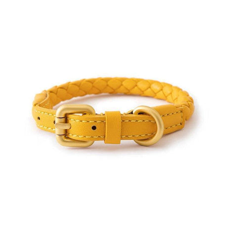 Premium Handcrafted Leather Dog Collar Kit