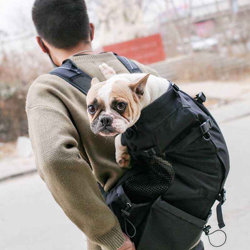 Dog Backpack Carrier  Ergonomic & Lightweight - Julibee's