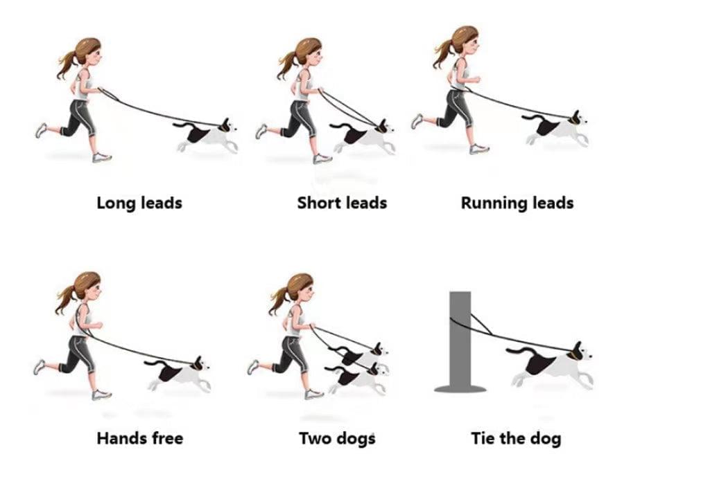 Versatile Hands-Free Dog Leash Kit Julibee's