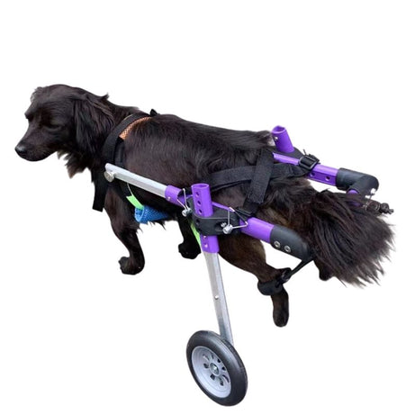 FlexiPaws Aluminum Dog Wheelchair Rear XS(Teddy Westie Pug Frenchie)