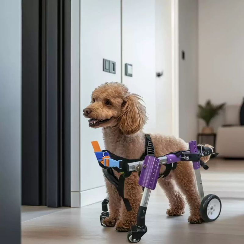 FlexiPaws Aluminum Dog Wheelchair Quad XS(Teddy Westie Pug Frenchie)