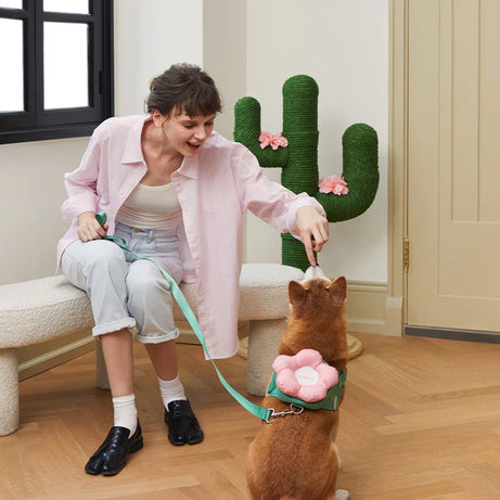 Vetreska Flora Dog Harness with backpack & Collar & Lead 3-in-One Set