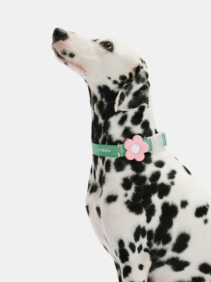 Vetreska Flora Dog Harness with backpack & Collar & Lead 3-in-One Set