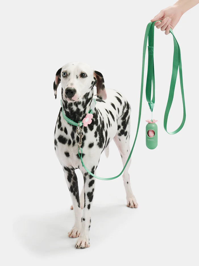 Vetreska Flora Dog Harness with backpack & Collar & Lead 3-in-One Set