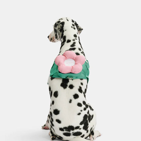 Vetreska Flora Dog Harness with backpack & Collar & Lead 3-in-One Set