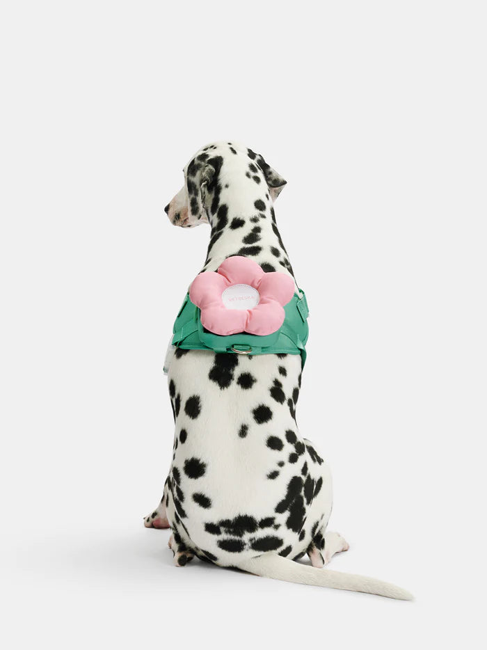 Vetreska Flora Dog Harness with backpack & Collar & Lead 3-in-One Set