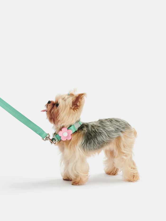 Vetreska Flora Dog Harness with backpack & Collar & Lead 3-in-One Set