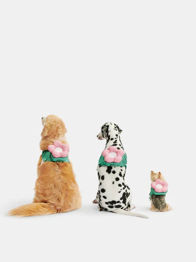 Vetreska Flora Dog Harness with backpack & Collar & Lead 3-in-One Set